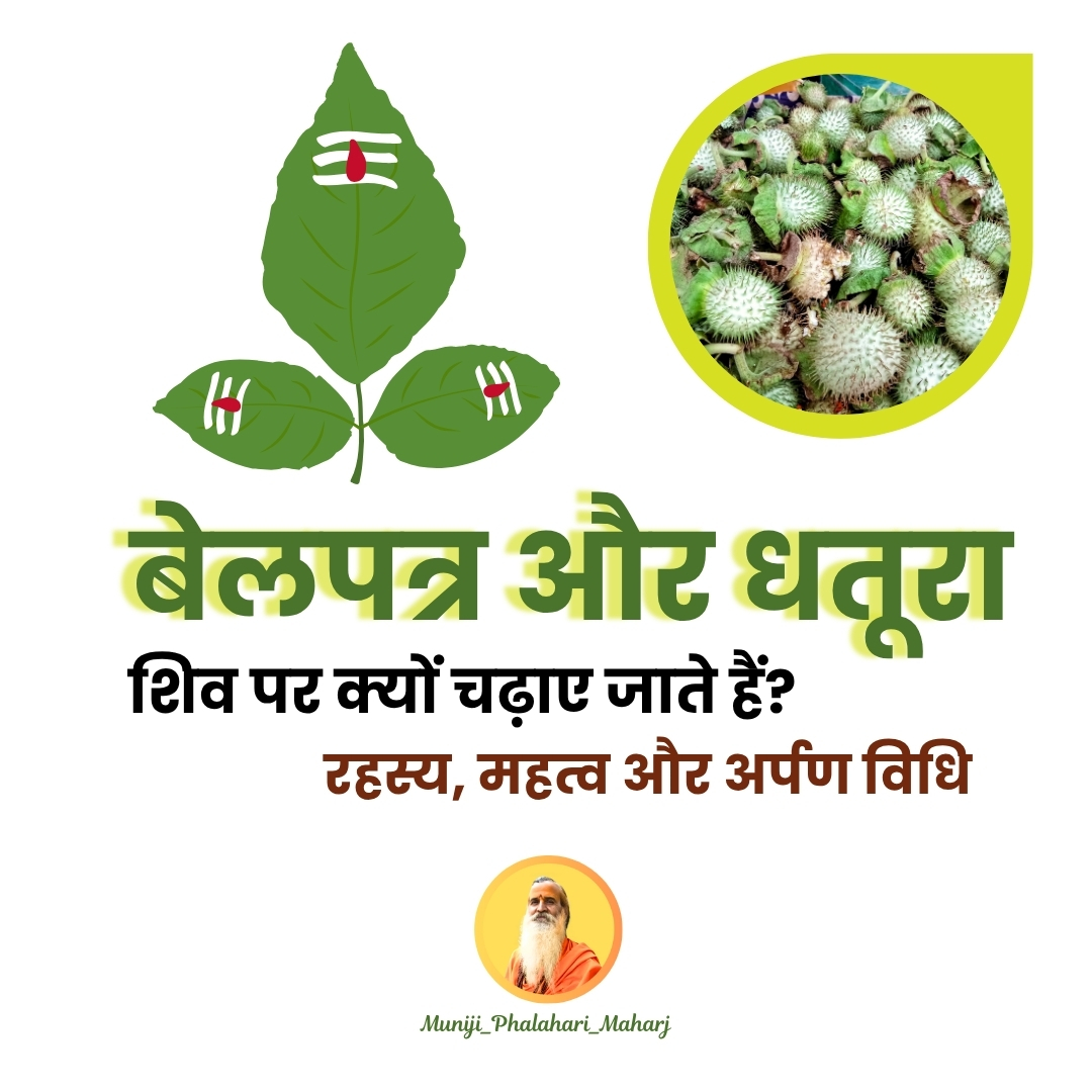 बेलपत्र और धतूरा: शिव पर क्यों चढ़ाए जाते हैं? रहस्य, महत्व और अर्पण विधि